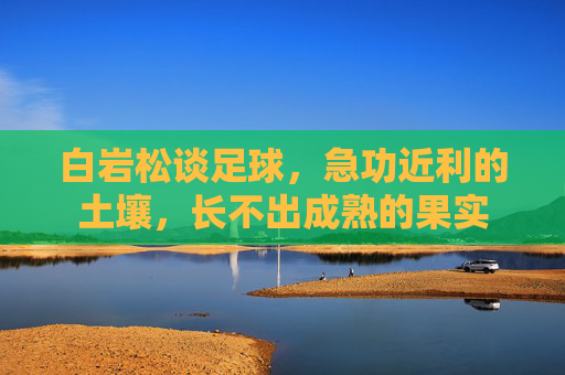 白岩松谈足球,急功近利的土壤,长不出成熟的果实