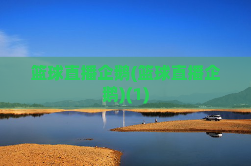 篮球直播企鹅(篮球直播企鹅)(1)