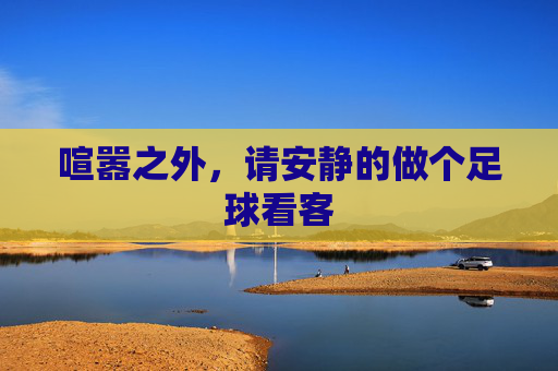 喧嚣之外,请安静的做个足球看客