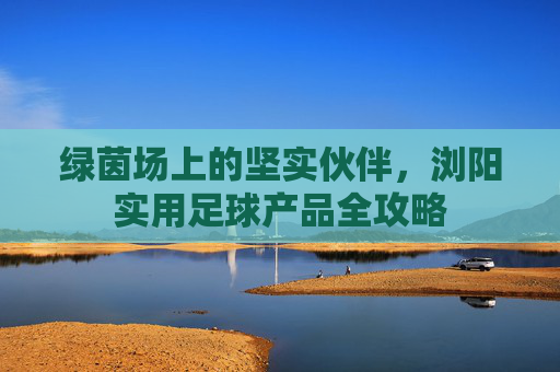 绿茵场上的坚实伙伴,浏阳实用足球产品全攻略