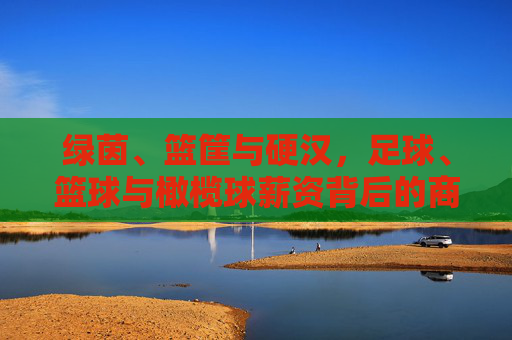 绿茵、篮筐与硬汉,足球、篮球与橄榄球薪资背后的商业逻辑