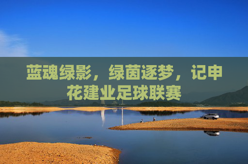 蓝魂绿影，绿茵逐梦，记申花建业足球联赛