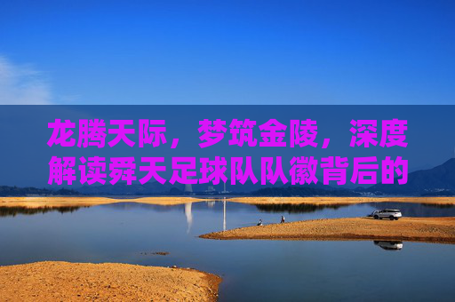 龙腾天际,梦筑金陵,深度解读舜天足球队队徽背后的精神图腾