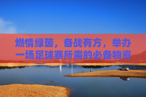 燃情绿茵,备战有方,举办一场足球赛所需的必备物资清单