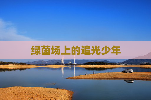 绿茵场上的追光少年