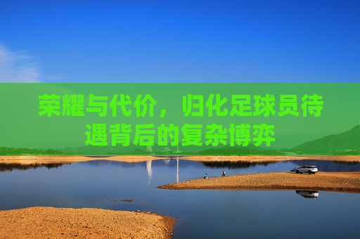 荣耀与代价,归化足球员待遇背后的复杂博弈