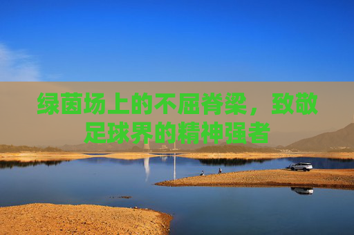 绿茵场上的不屈脊梁,致敬足球界的精神强者