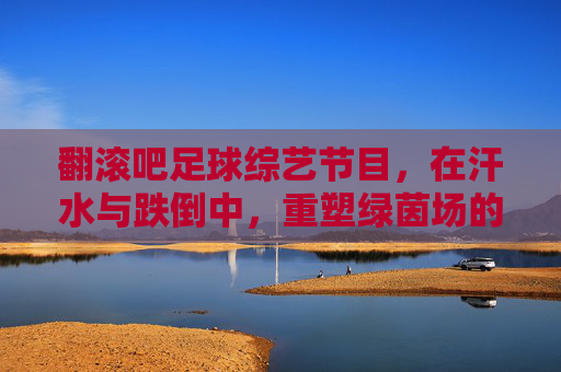 翻滚吧足球综艺节目，在汗水与跌倒中，重塑绿茵场的青春热血