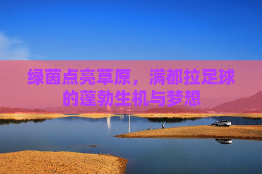 绿茵点亮草原，满都拉足球的蓬勃生机与梦想