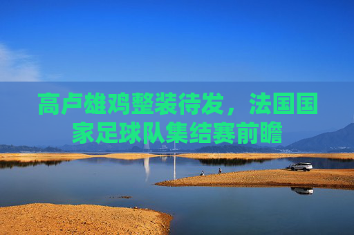 高卢雄鸡整装待发,法国国家足球队集结赛前瞻