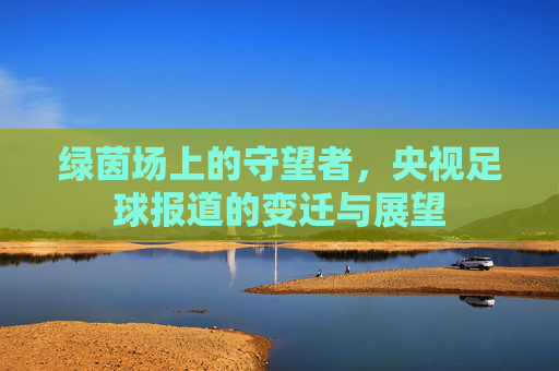 绿茵场上的守望者,央视足球报道的变迁与展望