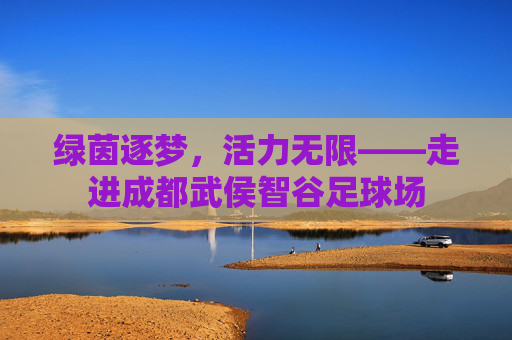 绿茵逐梦，活力无限——走进成都武侯智谷足球场