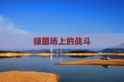 绿茵场上的战斗