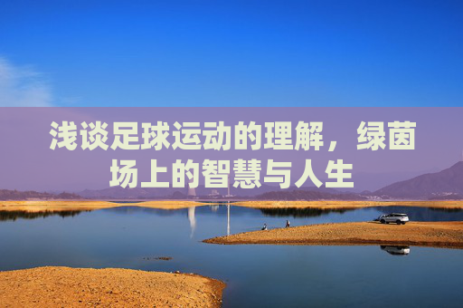 浅谈足球运动的理解,绿茵场上的智慧与人生
