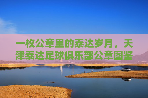一枚公章里的泰达岁月,天津泰达足球俱乐部公章图鉴