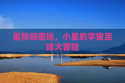 星际绿茵场,小星的宇宙足球大冒险