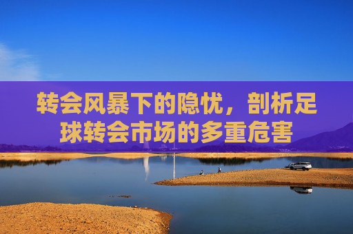 转会风暴下的隐忧,剖析足球转会市场的多重危害