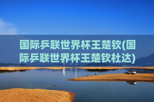 国际乒联世界杯王楚钦(国际乒联世界杯王楚钦杜达)