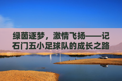 绿茵逐梦，激情飞扬——记石门五小足球队的成长之路