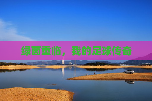 绿茵重临,我的足球传奇