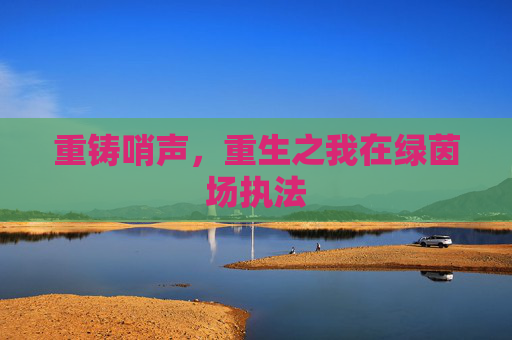 重铸哨声，重生之我在绿茵场执法