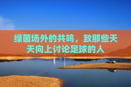 绿茵场外的共鸣,致那些天天向上讨论足球的人