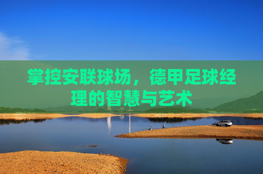 掌控安联球场，德甲足球经理的智慧与艺术