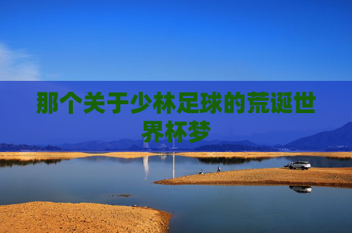 那个关于少林足球的荒诞世界杯梦