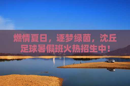 燃情夏日,逐梦绿茵,沈丘足球暑假班火热招生中!