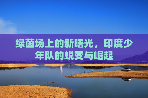 绿茵场上的新曙光,印度少年队的蜕变与崛起