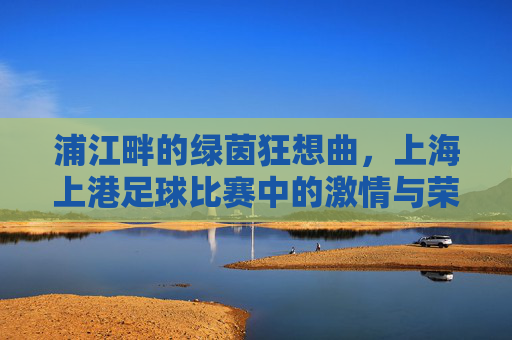 浦江畔的绿茵狂想曲,上海上港足球比赛中的激情与荣耀