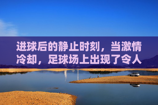 进球后的静止时刻,当激情冷却,足球场上出现了令人费解的慢镜头