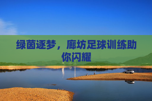 绿茵逐梦,廊坊足球训练助你闪耀