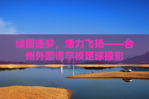 绿茵逐梦，活力飞扬——台州外国语学校足球掠影