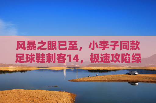 风暴之眼已至,小李子同款足球鞋刺客14,极速攻陷绿茵场