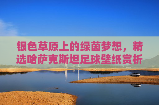 银色草原上的绿茵梦想,精选哈萨克斯坦足球壁纸赏析