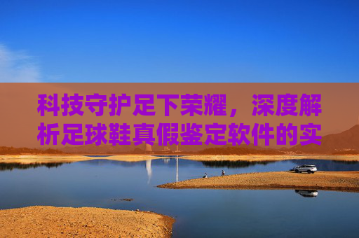 科技守护足下荣耀，深度解析足球鞋真假鉴定软件的实用指南