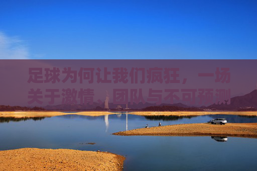 足球为何让我们疯狂,一场关于激情、团队与不可预测性的终极解读