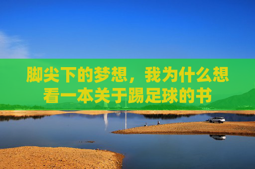 脚尖下的梦想,我为什么想看一本关于踢足球的书