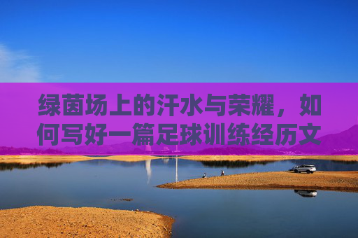 绿茵场上的汗水与荣耀,如何写好一篇足球训练经历文章