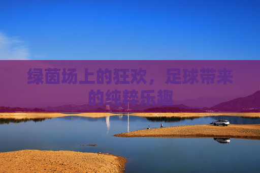 绿茵场上的狂欢,足球带来的纯粹乐趣