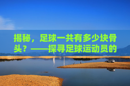 揭秘，足球一共有多少块骨头？——探寻足球运动员的身体构造
