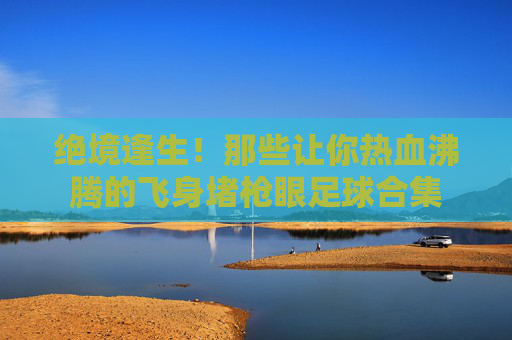 绝境逢生！那些让你热血沸腾的飞身堵枪眼足球合集