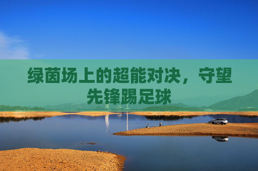 绿茵场上的超能对决，守望先锋踢足球
