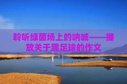 聆听绿茵场上的呐喊——播放关于踢足球的作文
