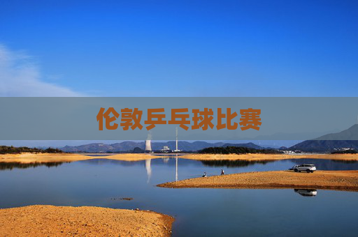 伦敦乒乓球比赛