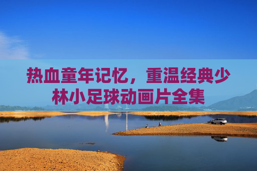 热血童年记忆,重温经典少林小足球动画片全集