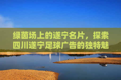 绿茵场上的遂宁名片,探索四川遂宁足球广告的独特魅力