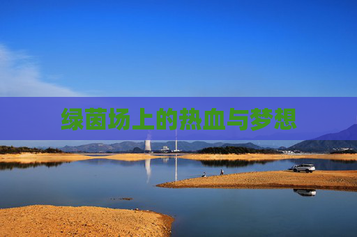 绿茵场上的热血与梦想