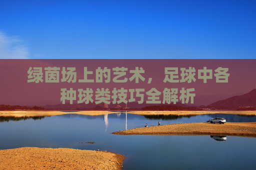 绿茵场上的艺术,足球中各种球类技巧全解析